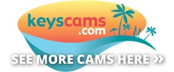 More florida keys webcams